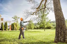 Best Tree Trimming and Pruning  in Leakesville, MS