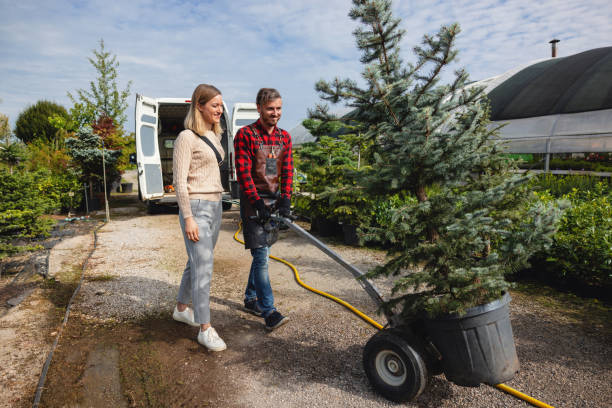 Best Lawn Grading and Leveling  in Leakesville, MS